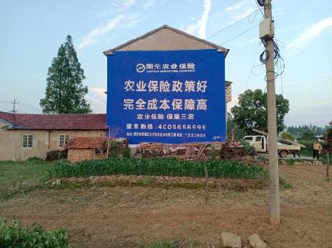 石屏墙体广告为何受追捧？